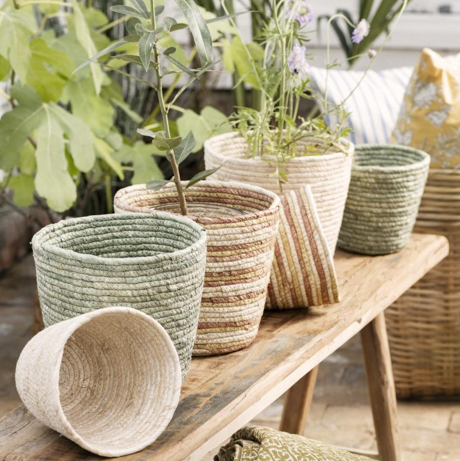 Blumentopf / Korb Creme