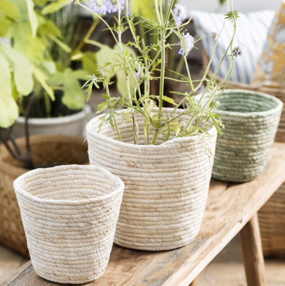 Blumentopf / Korb Creme
