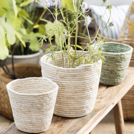 Blumentopf / Korb Creme